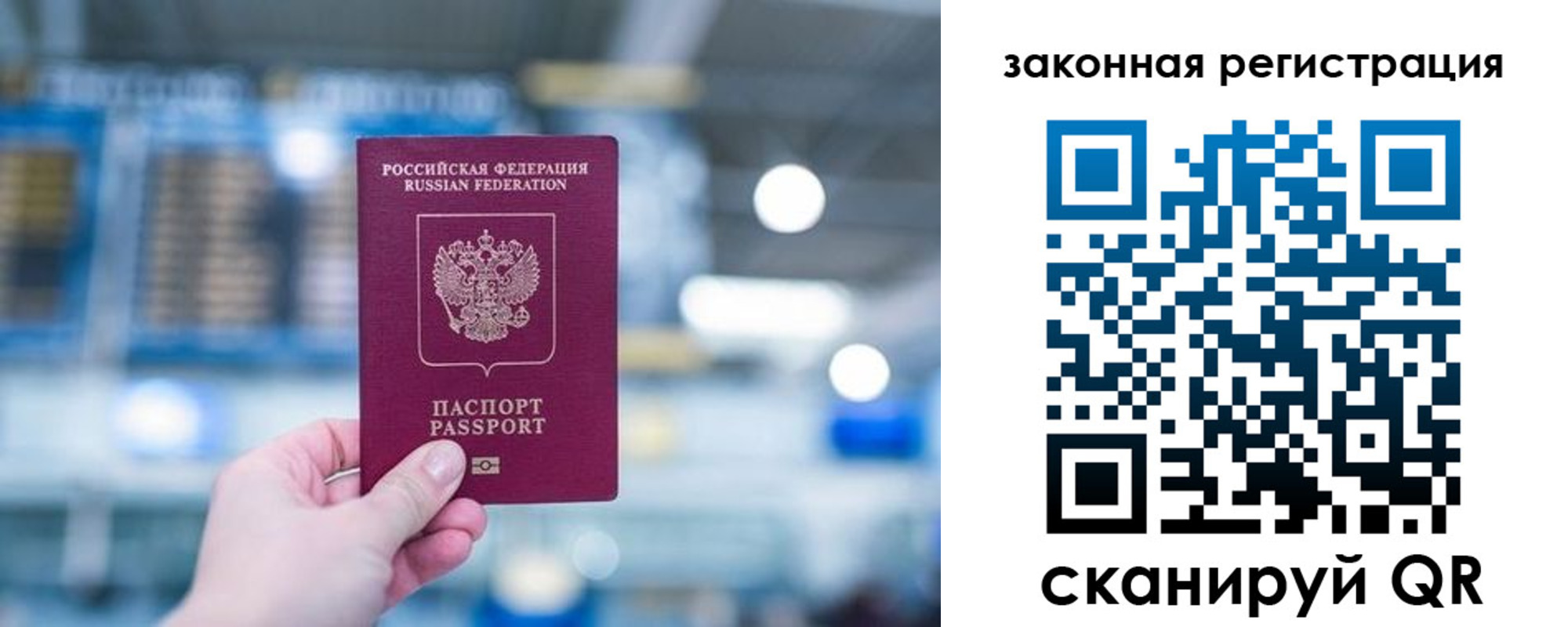 прописка поиск в Благодарном